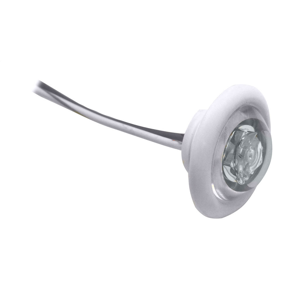 Innovative Lighting "The Shortie" LED Bulkhead/Livewell Light, White LED