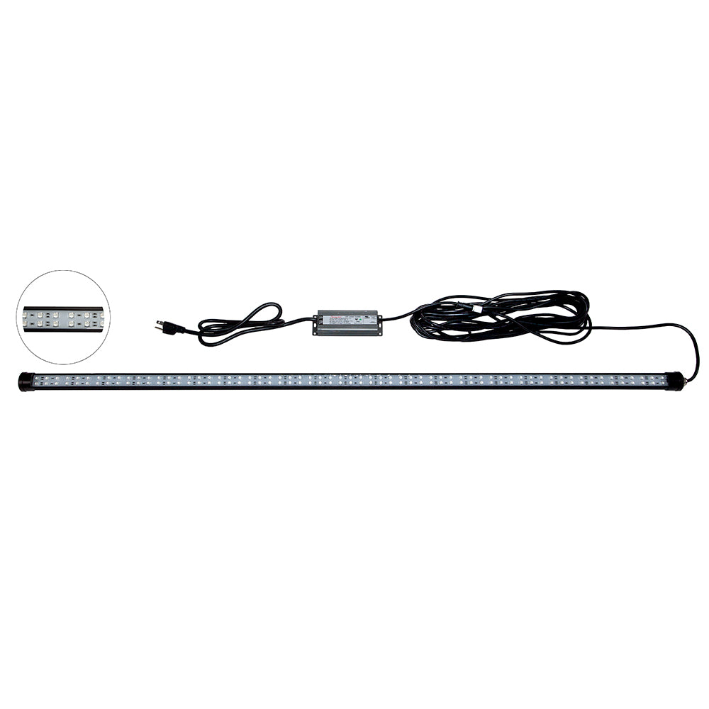 Hydro Glow DM260B Dock Mounted Fishing Light, Blue 40W