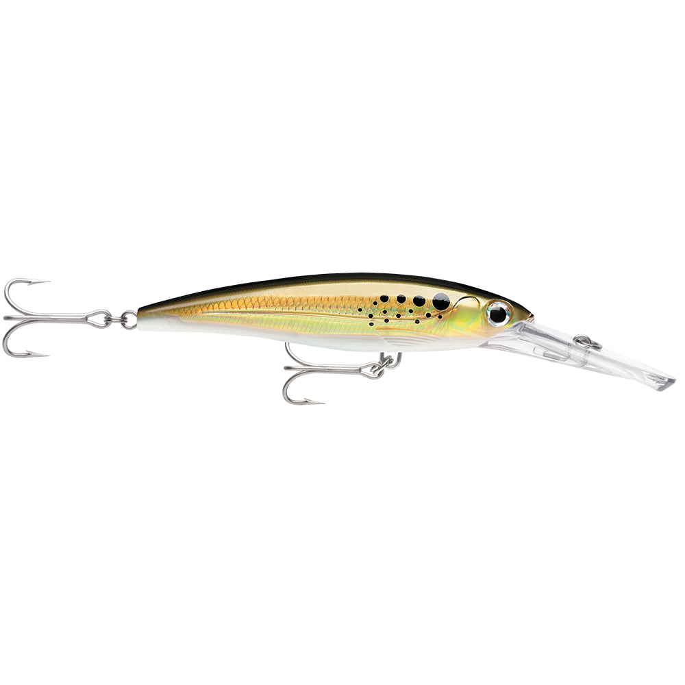 Rapala X-Rap® Magnum® 15 Deep Diving Trolling Lure, Bunker
