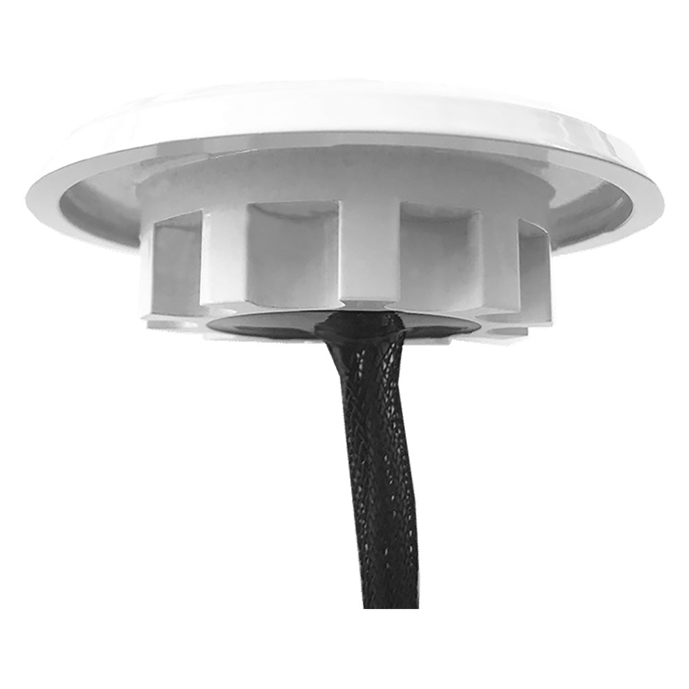 Shadow-Caster SCM-DLXS Marine LED Downlight, Cool White, 300 Lumens
