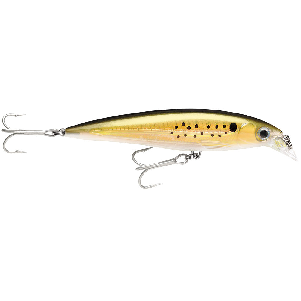 Rapala X-Rap Saltwater Fishing Lure, 4" Bunker