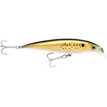 Rapala X-Rap Saltwater Fishing Lure, 4" Bunker