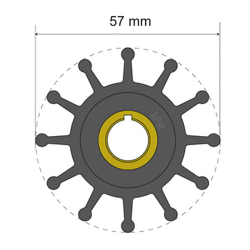 Albin Group Premium Impeller Kit, 12-Blade with Key Insert, ISO 9001 Certified