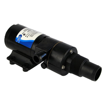 Jabsco Run-Dry Sealed Macerator Pump, 24V, 12 GPM