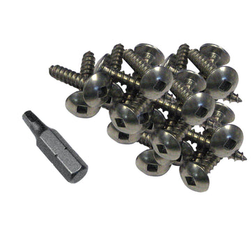Dock Edge Stainless Steel Profile Fasteners, 100 PCS, 1-inch with Driver Bit