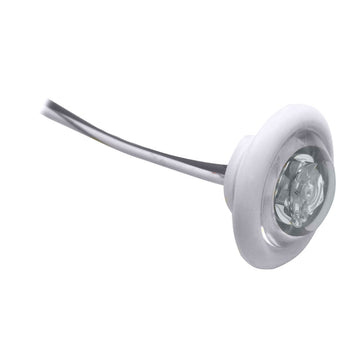 Innovative Lighting "The Shortie" LED Bulkhead/Livewell Light, White LED