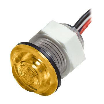 Innovative Lighting LED Bulkhead Livewell Light, Flush Mount - Amber