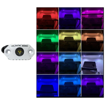 Black Oak LED RGB Rock Accent Light, 12V, White Housing, IP69K Rated