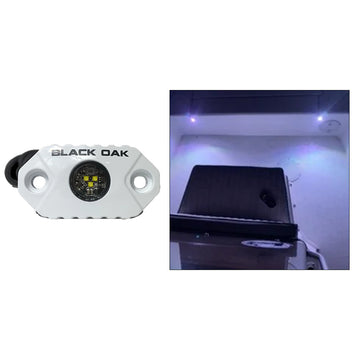Black Oak LED Rock Accent Light, White LEDs, White Housing, Dimmable